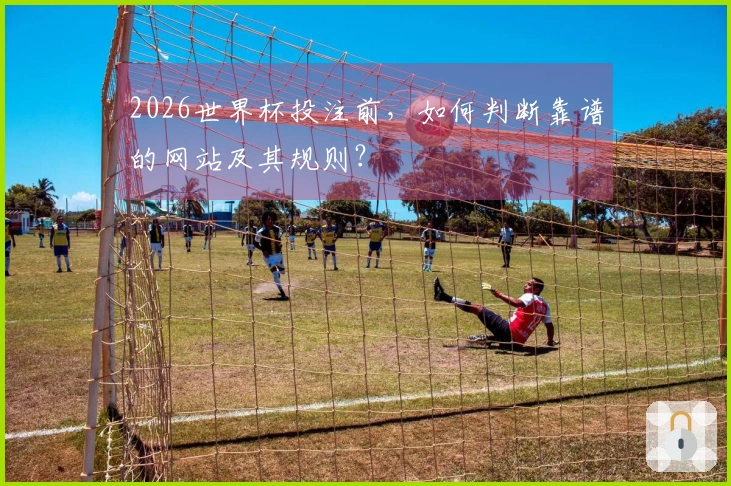 2026世界杯投注前，如何判断靠谱的网站及其规则？