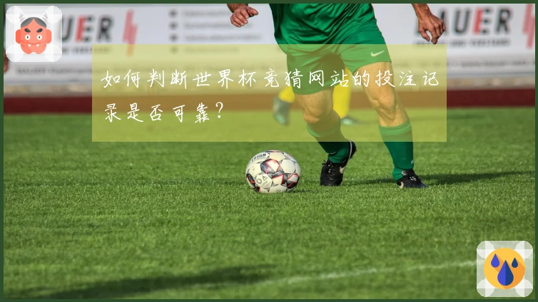 如何判断世界杯竞猜网站的投注记录是否可靠？